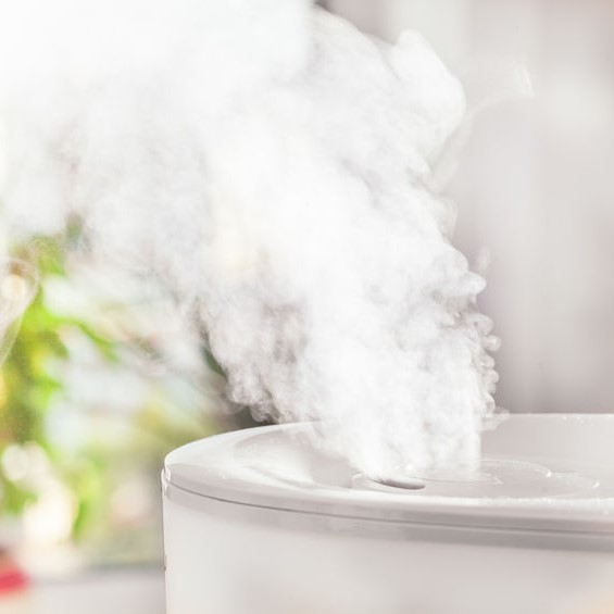 Humidifier in the home