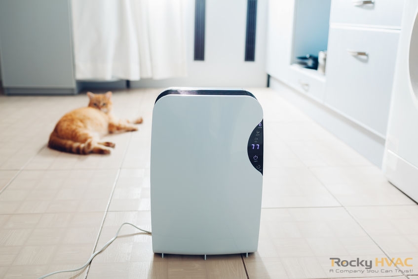 home air purifier